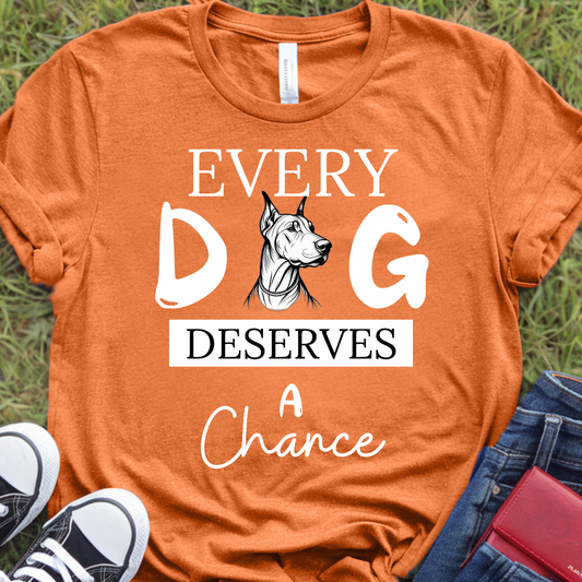 Every Dobermann deserves a chance