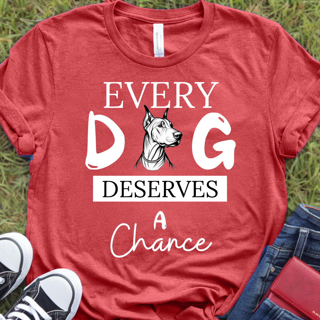 Every Dobermann deserves a chance